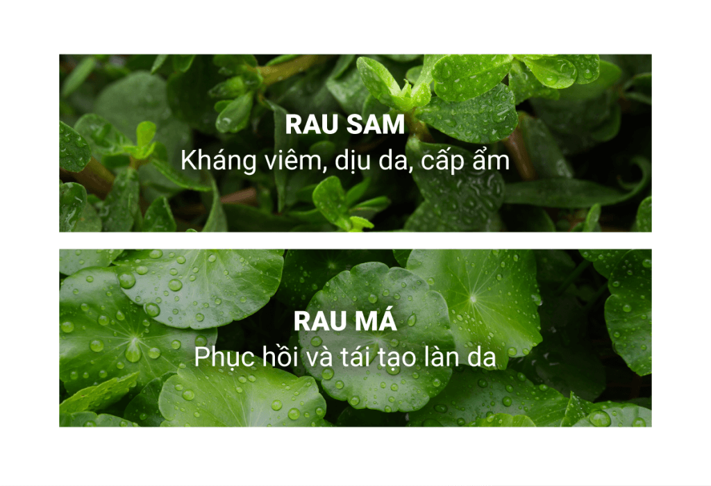 INFOGRAPHIC-Peeling-Gel_04-1024x700